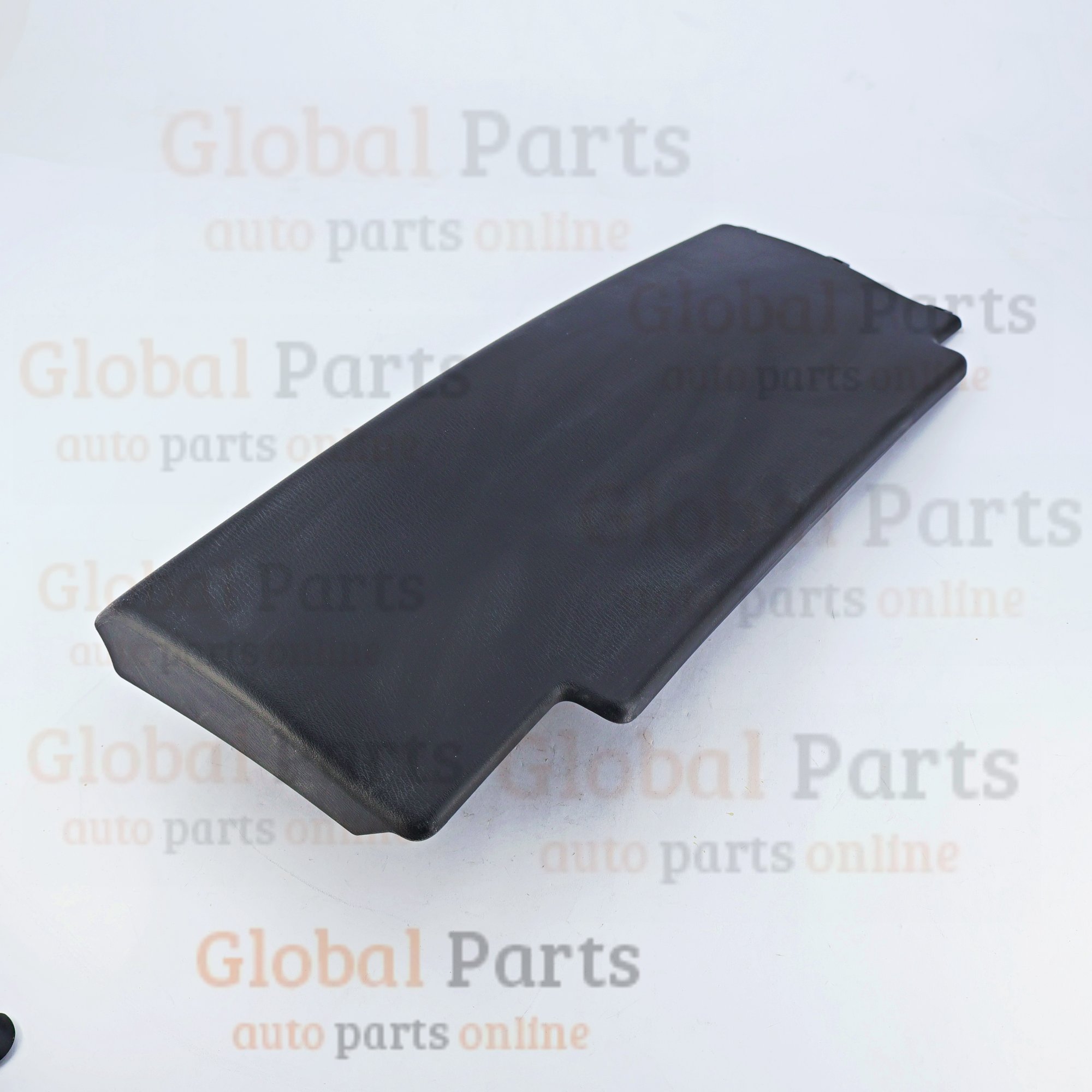 Genuine Nissan OEM Finisher Assembly - 87389-1LZ0B